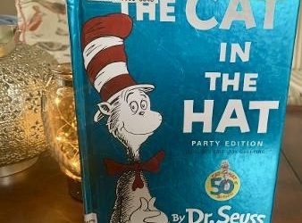 Why Should We Care if “The Cat in the Hat” is a Rat in a Spat?