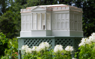 The White House Will ‘Bee a Hive’ of Activity When King Charles the III and Queen Camilla Visit