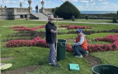 Newport Gardens Seek Volunteers This Weekend!